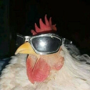 ROOSTER