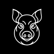 swine