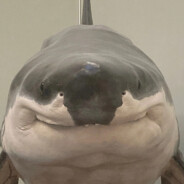 Fish with legs