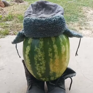 Dekvid