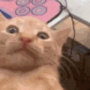 weed cat ≽^•⩊•^≼
