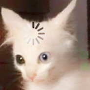 Kalisher