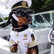 Kaptain Dog