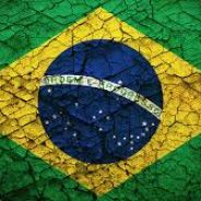 ELVIS BR