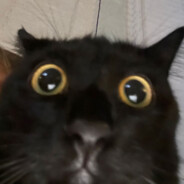 Kuna