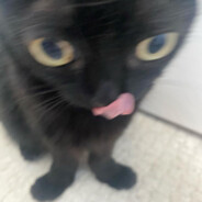 Kopi