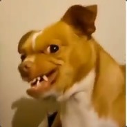 Фантазер