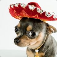 El dog oneshotero