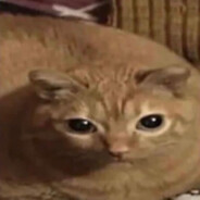 Garfild