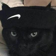 ¿?