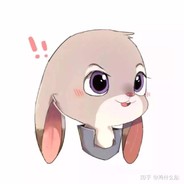 ****__XW