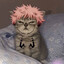 𝐊𝐑𝐀𝐕𝐄𝐍