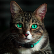 CLYDE