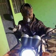 HHBOSS