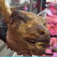 Pouis Laulus