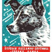 [BR] petry