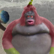 Mirabacklis