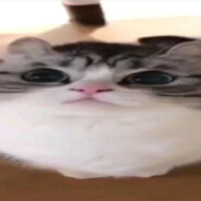 zarydka