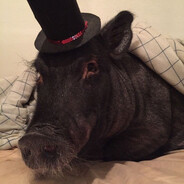 Gentleham