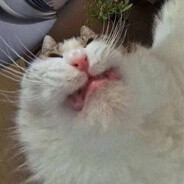 ヘルキャット | ☆〜