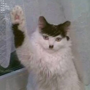 Meowdolf Kitler
