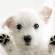 Retarded Dog