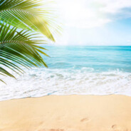 GetOutTheWayBeach