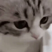 Metylenodioksymetamfetamina