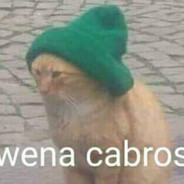 wena cabros