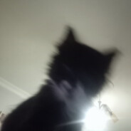 Zrial