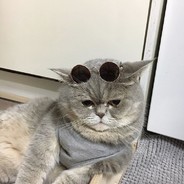 乁( •_• )ㄏAWAPER乁( •_