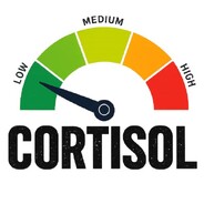 Low Cortisol Games