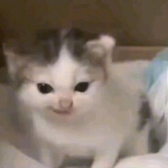 -ƎƆ∀NƎW