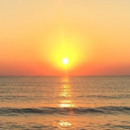 SunLight