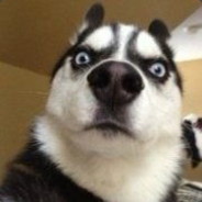 AL