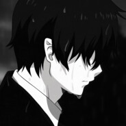 LUDONINJE