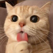 F!rstJx