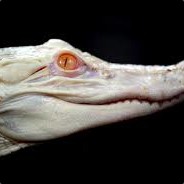 Gaming_Gator67