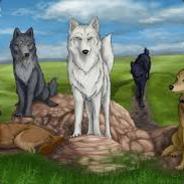 Wolf RP Bios :: WolfQuest RolePlay Pack