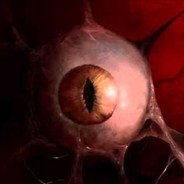 Zerg