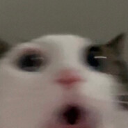 Pohl