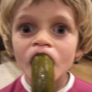 HumongousBungus