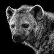“Yeen”