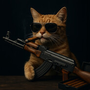 Gato das Mocas