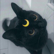 melmoon1102