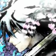 DS_Echo