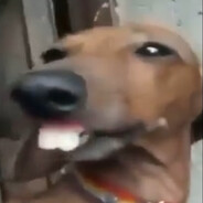 Dwag