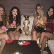 pina