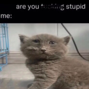 rikejmijakub