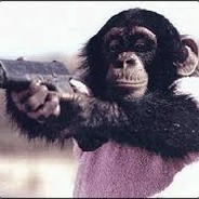 Thug Chimpanzee